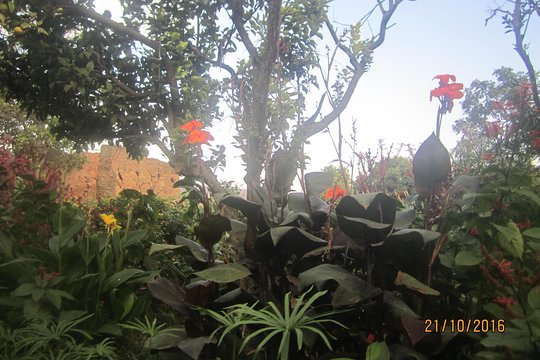 Tour image 5