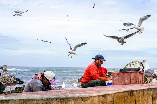 Tour image 10