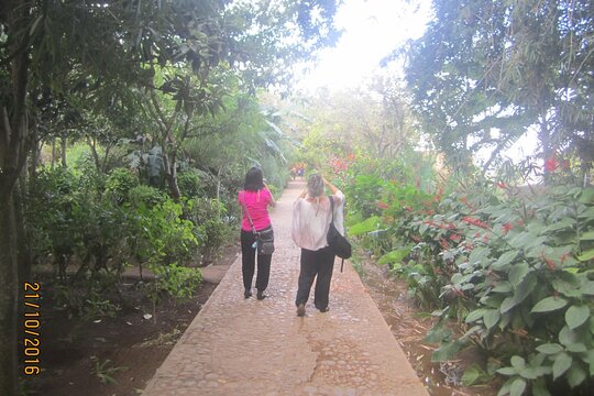 Tour image 8